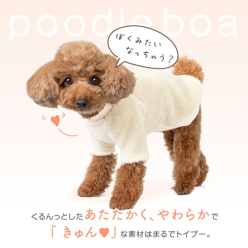 トイプーボアトレーナー(ダックス・小型犬用)