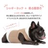 シャギーネック着る腹巻き!ぽんぽんウエア(R)