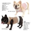 シャギーネック着る腹巻きぽんぽんウエア（R)