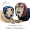 フリースフードボアタンク(ダックス・小型犬用)