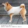 フリースフードボアタンク(中型犬用)