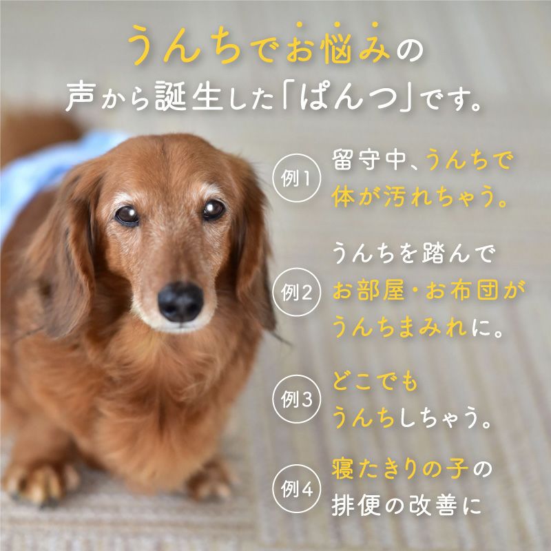 うんちキャッチ&おむつカバープーぱんつ(R)(ダックス・小型犬用)