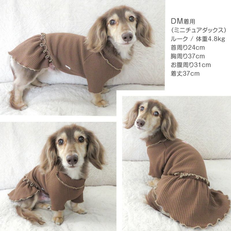 ラゲットリブワンピース(ダックス・小型犬用)