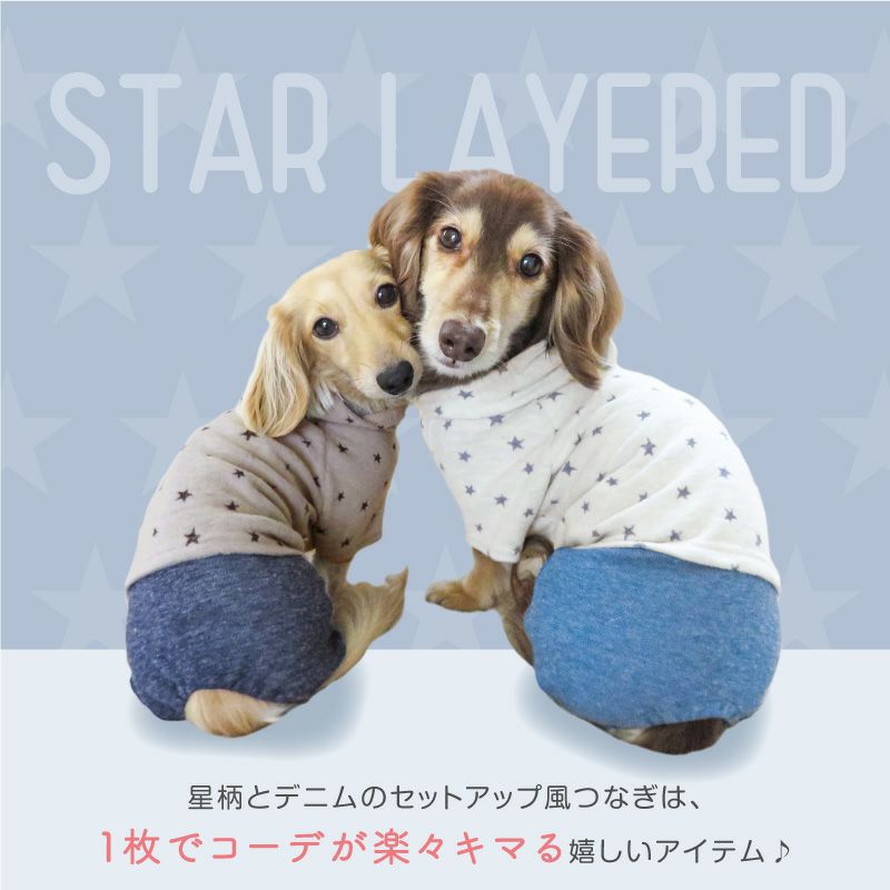 星柄フードつなぎ(ダックス・小型犬用)