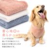 シャギーニット着る腹巻き!ぽんぽんウエア(R)