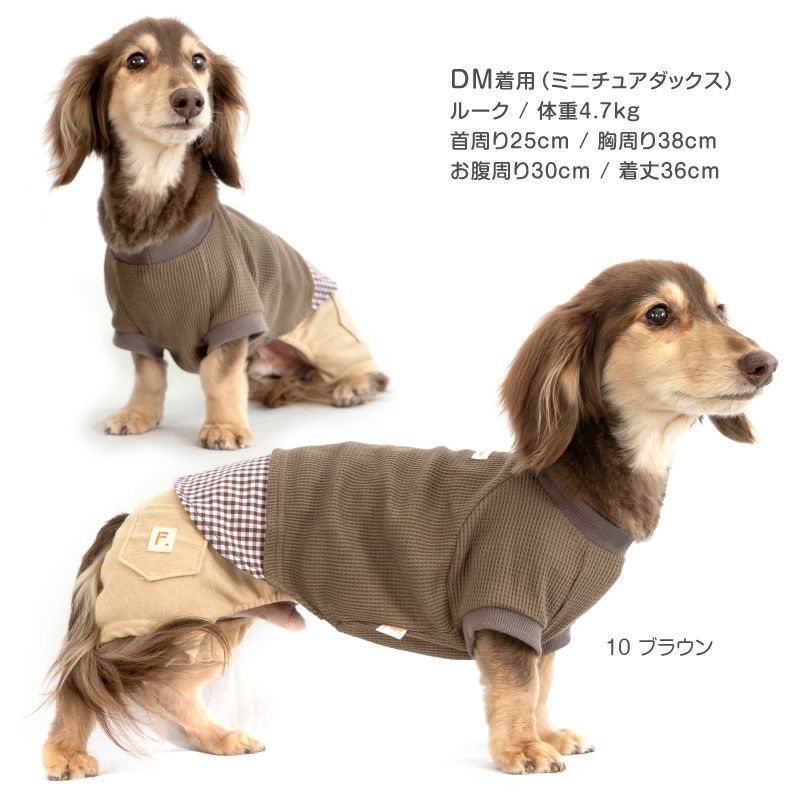 シャツレイヤード風ワッフルTシャツ(ダックス・小型犬用)