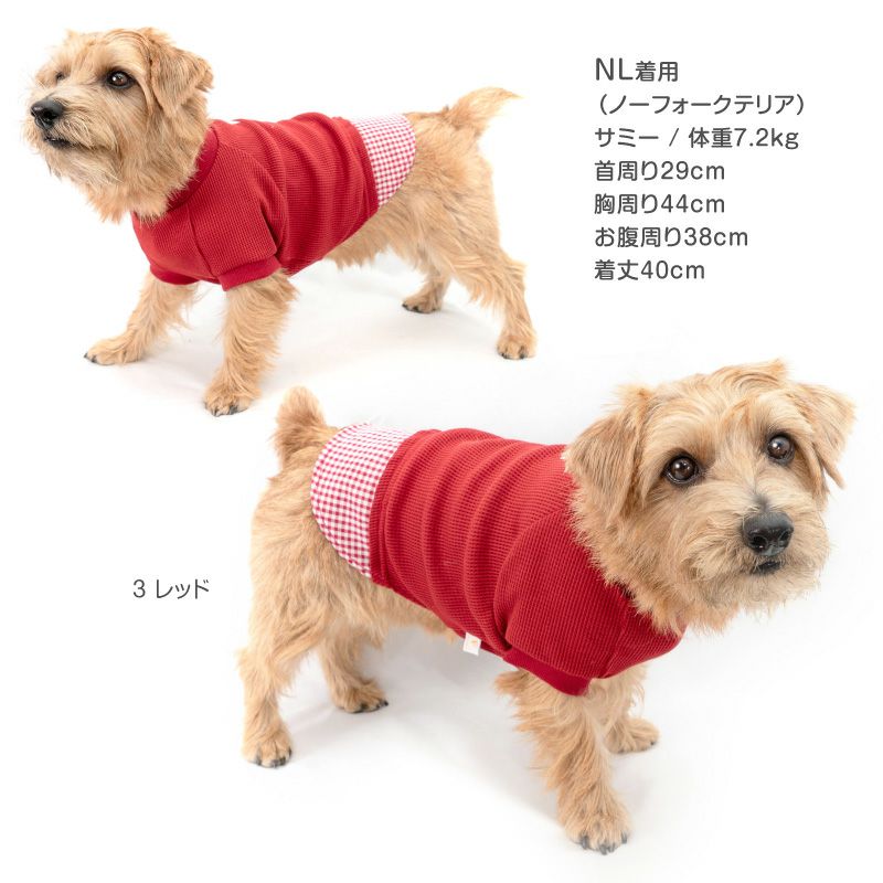 シャツレイヤード風ワッフルTシャツ(ダックス・小型犬用)