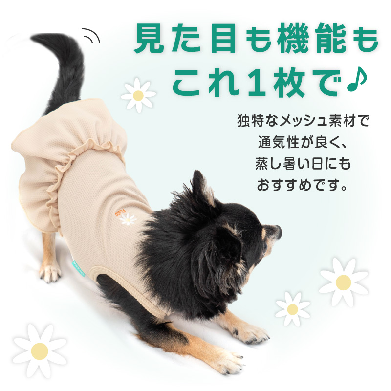 ワンポイント防蚊フリルワンピース(ダックス・小型犬用)