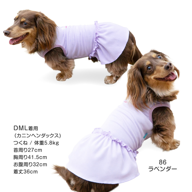 ワンポイント防蚊フリルワンピース(ダックス・小型犬用)