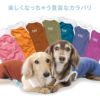 メッシュ切り替え接触冷感つなぎ(ダックス・小型犬用)