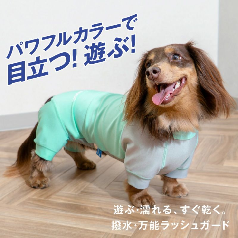 ドッグプレイ（R)配色撥水レインラッシュガード(ダックス・小型犬用)
