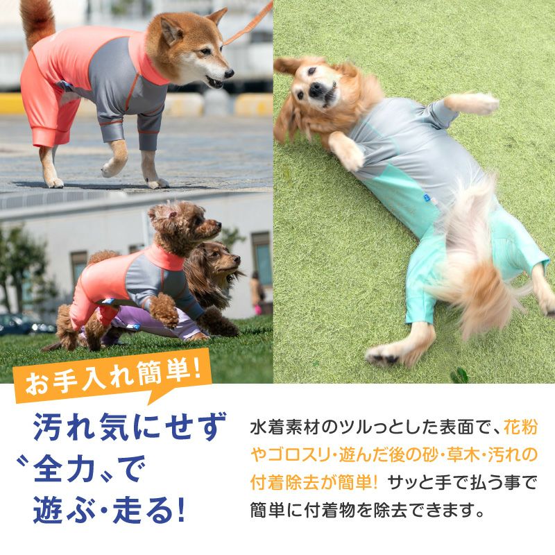 ドッグプレイ（R)配色撥水レインラッシュガード(ダックス・小型犬用)