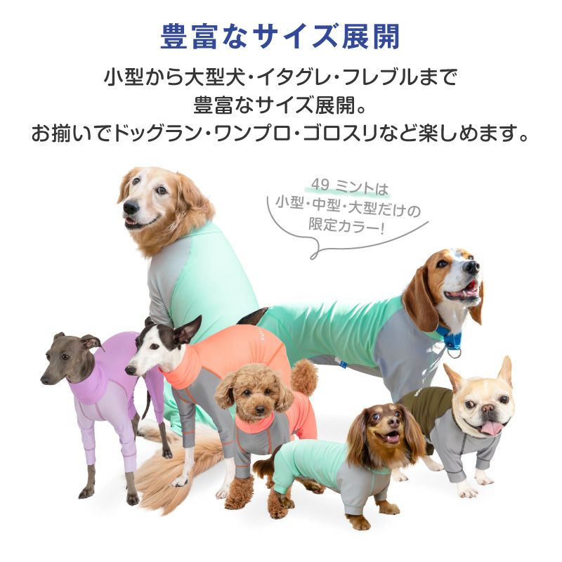 ドッグプレイ（R)配色撥水レインラッシュガード(ダックス・小型犬用)