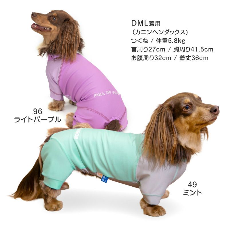 ドッグプレイ（R)配色撥水レインラッシュガード(ダックス・小型犬用)