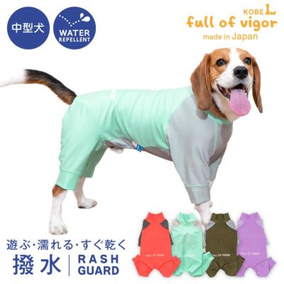 ドッグプレイ（R)配色撥水ラッシュガード(中型犬用)