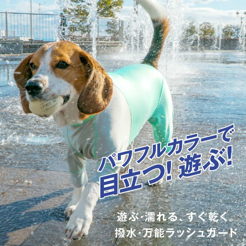 ドッグプレイ（R)配色撥水ラッシュガード(中型犬用)