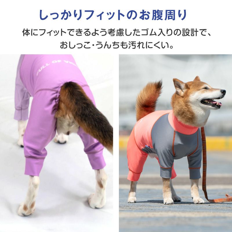 ドッグプレイ（R)配色撥水ラッシュガード(中型犬用)