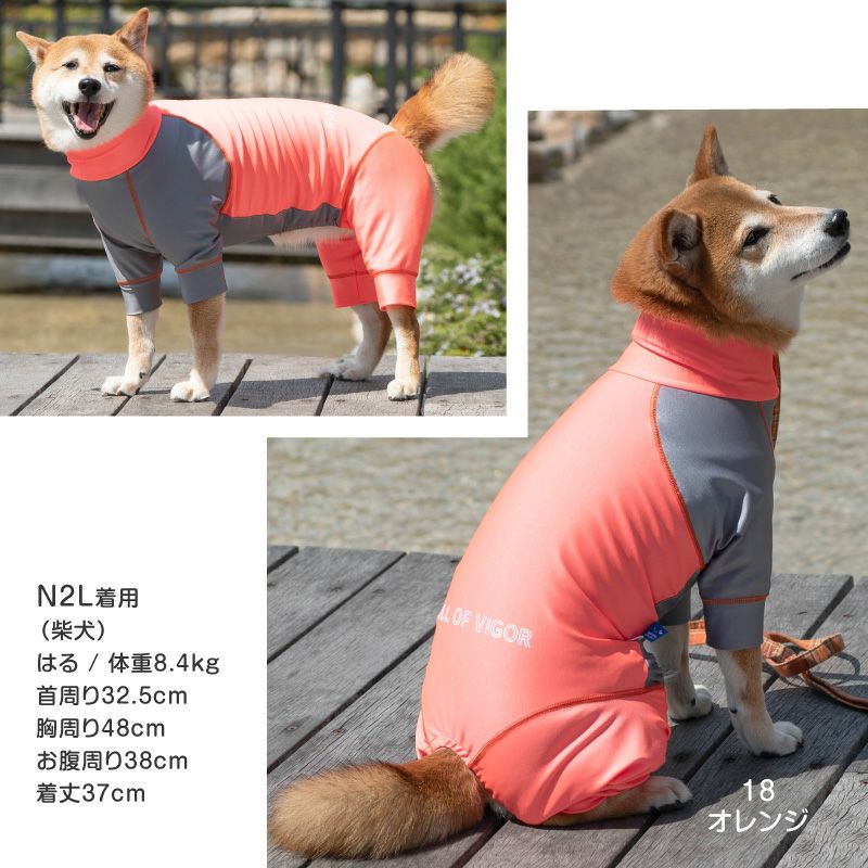 ドッグプレイ（R)配色撥水ラッシュガード(中型犬用)