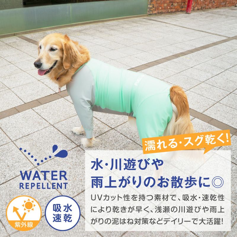 大型犬用 伸びて 着せやすい ドッグプレイ(R) 配色 撥水 ラッシュ