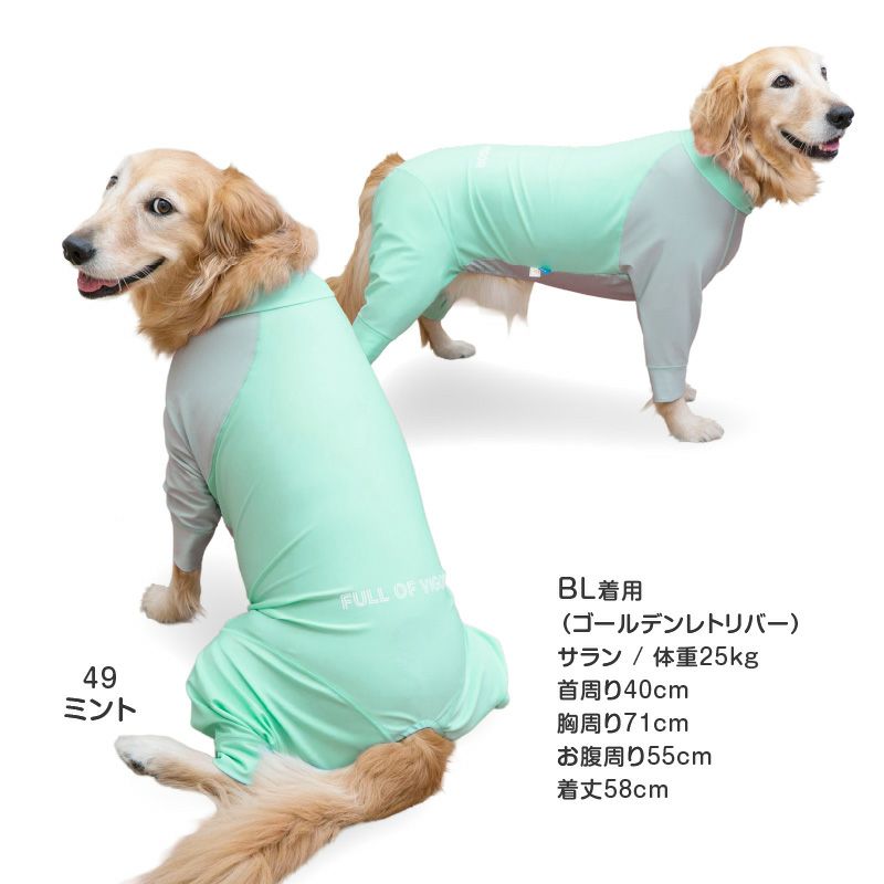 ドッグプレイ（R)配色撥水ラッシュガード(大型犬用)