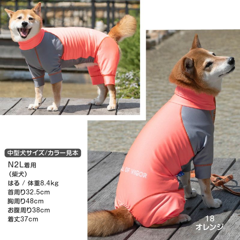 大型犬用 伸びて 着せやすい ドッグプレイ(R) 配色 撥水 ラッシュ