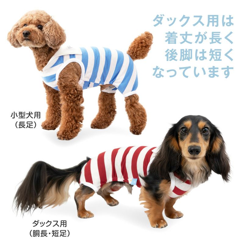 太ボーダーセーラー衿つなぎ(ダックス・小型犬用)
