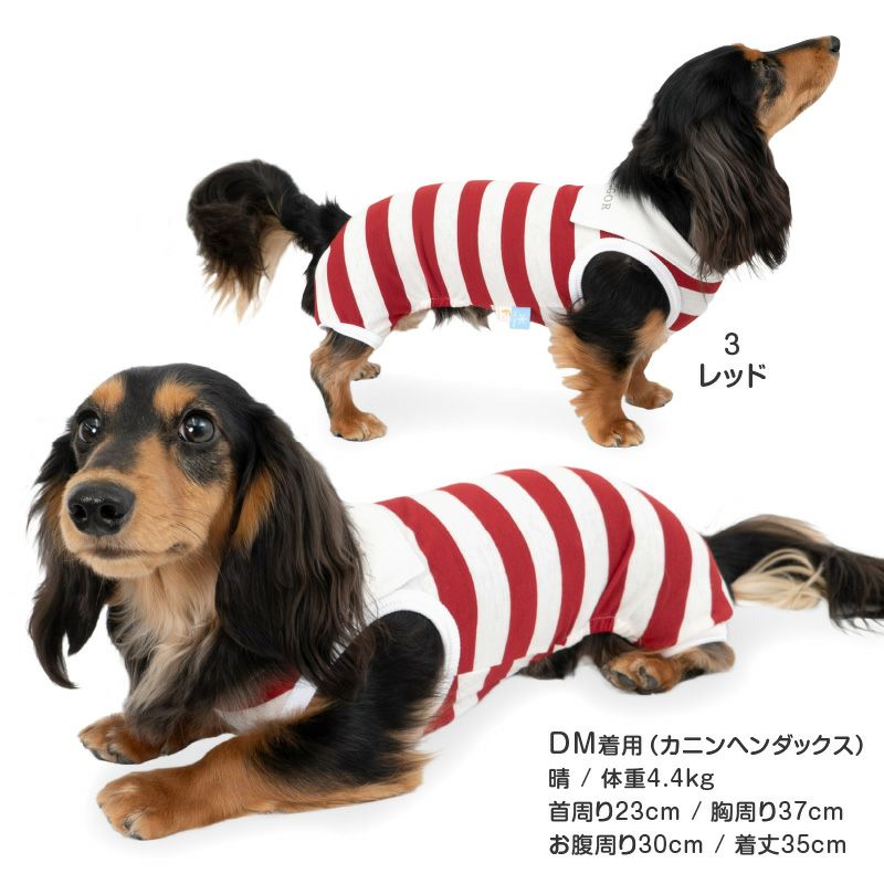 太ボーダーセーラー衿つなぎ(ダックス・小型犬用)