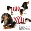 太ボーダーセーラー衿つなぎ(ダックス・小型犬用)