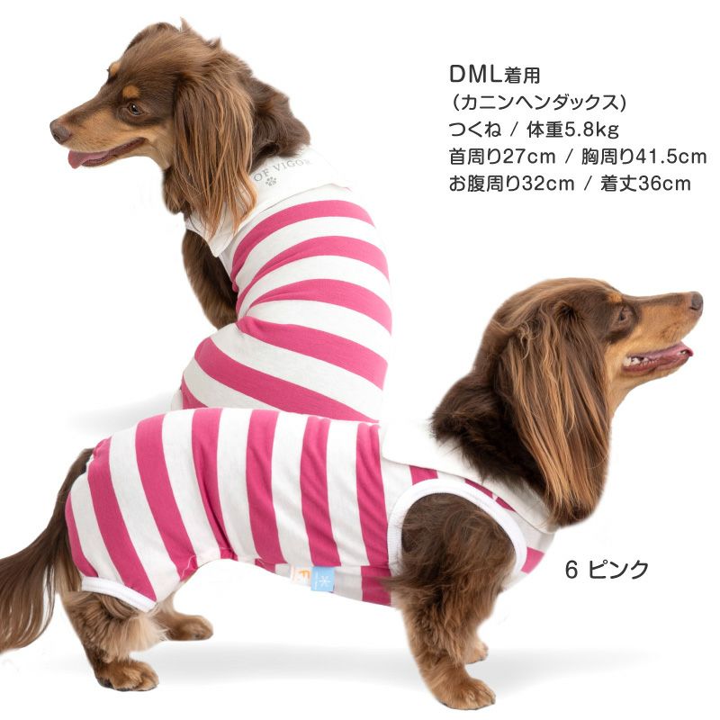 太ボーダーセーラー衿つなぎ(ダックス・小型犬用)