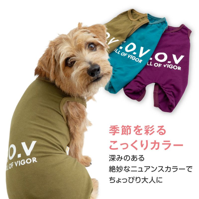 シンプルベア天竺袖なしつなぎ(ダックス・小型犬用)