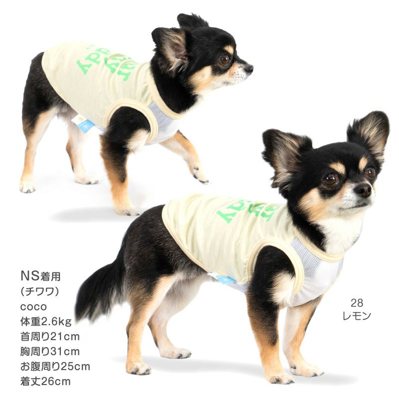 接触冷感ロゴプリントタンク(ダックス・小型犬用)