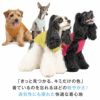 レーヨン天竺タンク(ダックス・小型犬用)