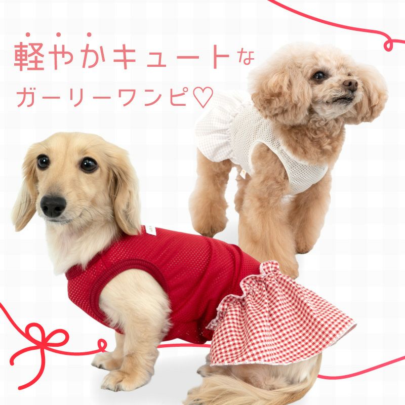チェックフリルメッシュワンピース(ダックス・小型犬用)