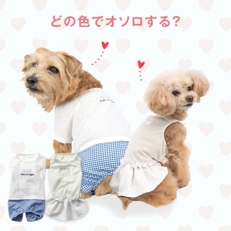 ワッフルチェックパンツレイヤード風つなぎ(ダックス・小型犬用)