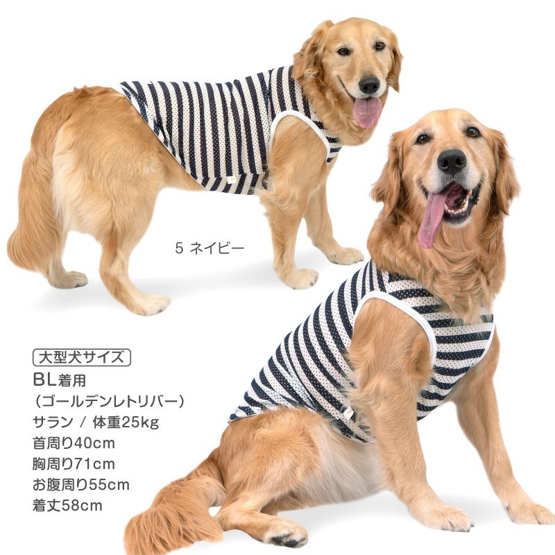 ボーダーメッシュタンク(大型犬用)