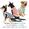 ボーダーメッシュタンク(ダックス・小型犬用)