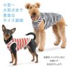 ボーダーメッシュタンク(ダックス・小型犬用)