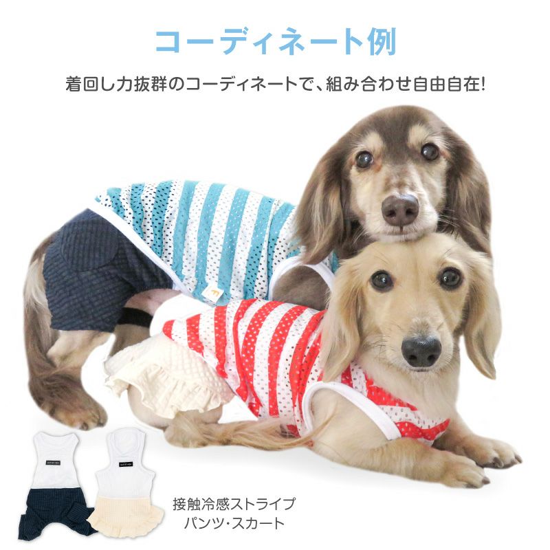 ボーダーメッシュタンク(ダックス・小型犬用)