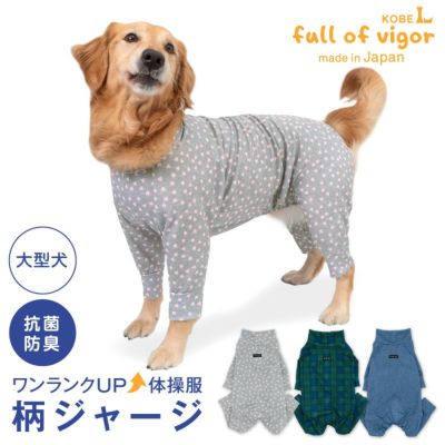 猫用柄ジャージつなぎ | ダックス、猫 、小型犬、中型犬、大型犬