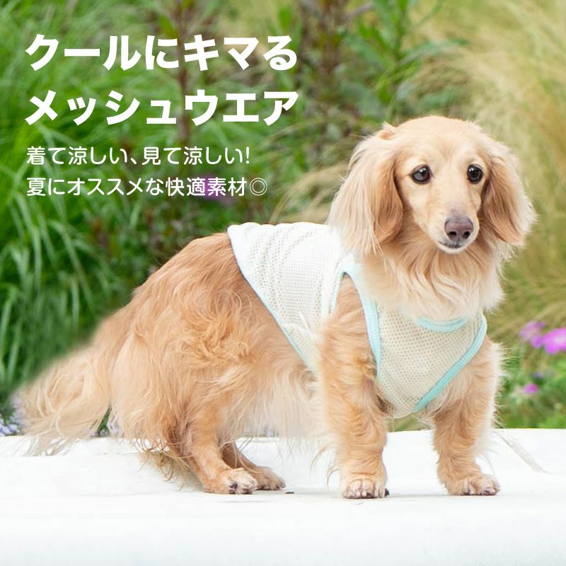 シンプルロゴプリントメッシュタンク(ダックス・小型犬用)