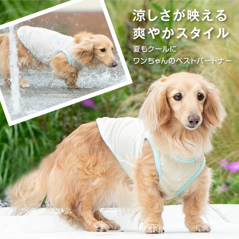 シンプルロゴプリントメッシュタンク(ダックス・小型犬用)