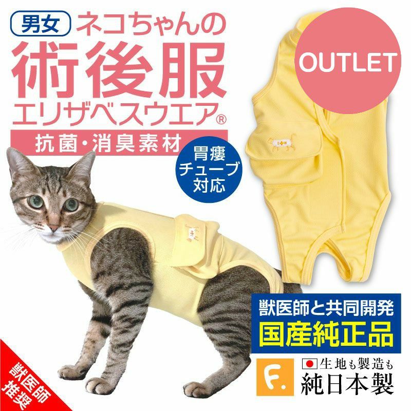 猫 胃 ストア ろう チューブ 服