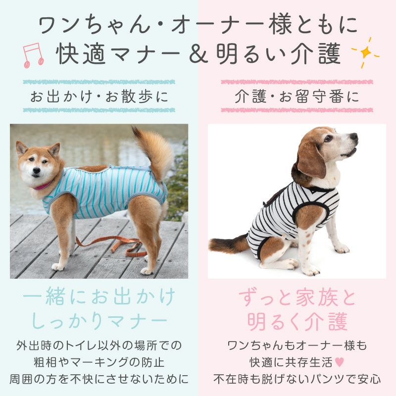 アウトレット】中型犬用 ボーダー ベア天 介護服 マナーガード(R) 男女
