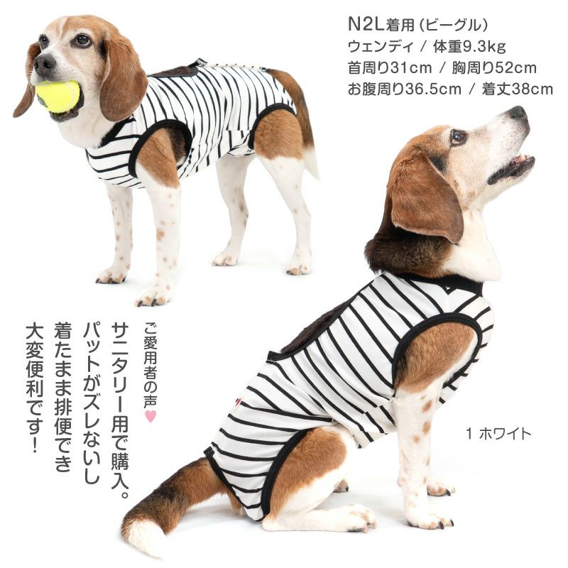 アウトレット】中型犬用 ボーダー ベア天 介護服 マナーガード(R) 男女