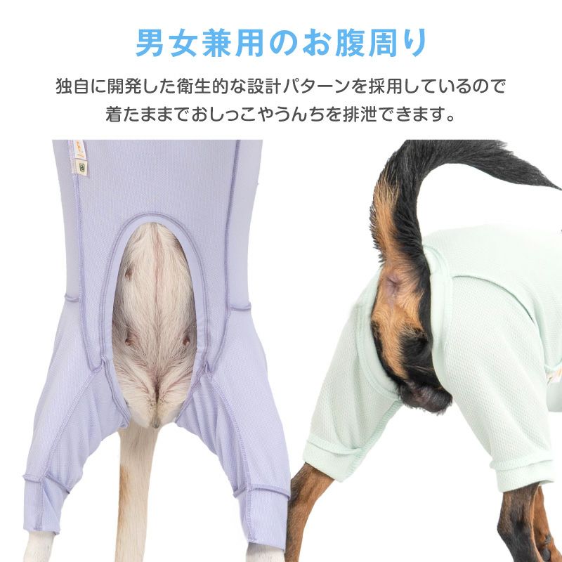 皮膚保護服スキンウエア(R)(男女兼用/大型犬用/抗菌・消臭素材)