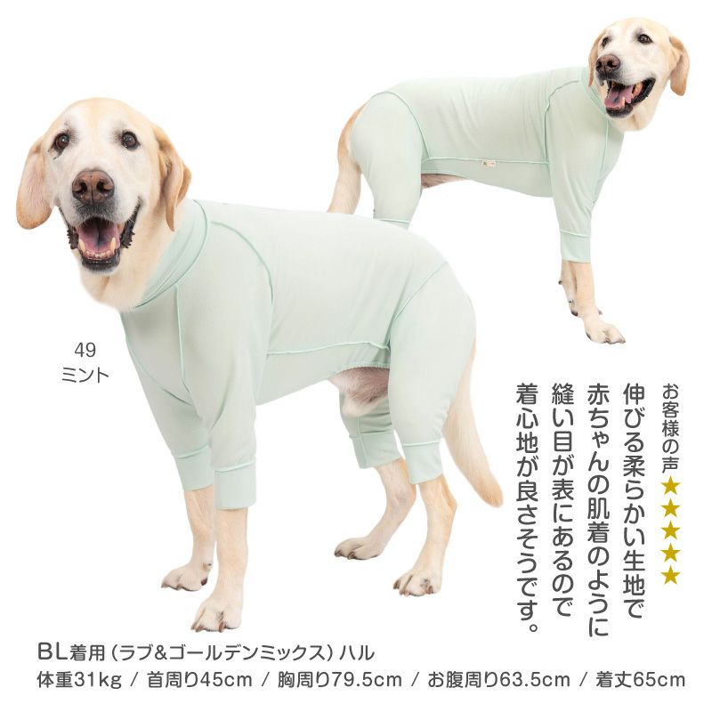 皮膚保護服スキンウエア(R)(男女兼用/大型犬用/抗菌・消臭素材)