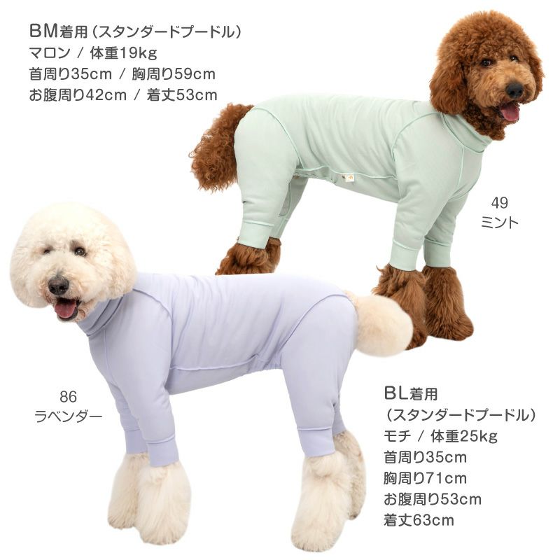皮膚保護服スキンウエア(R)(男女兼用/大型犬用/抗菌・消臭素材)