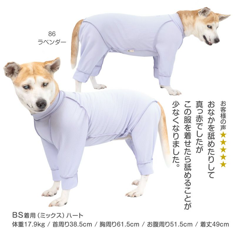 皮膚保護服スキンウエア(R)(男女兼用/大型犬用/抗菌・消臭素材)