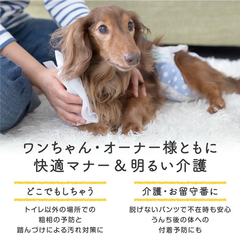 うんちキャッチ & おむつカバー プーぱんつ(R)(中型犬用)