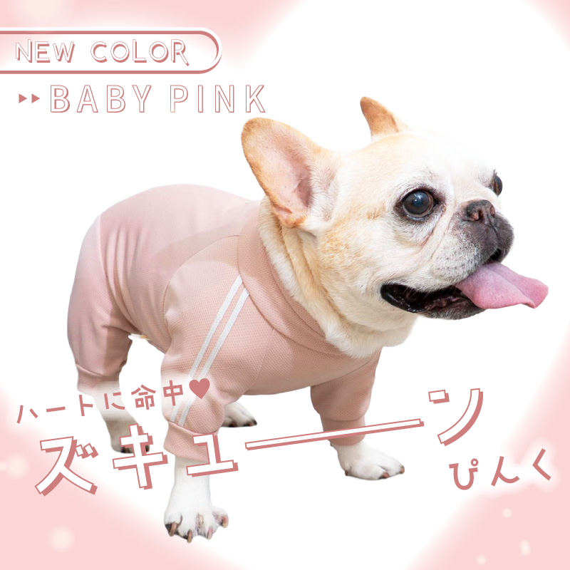 ドッグプレイ(R)体操服ジャージつなぎ(フレブル用)